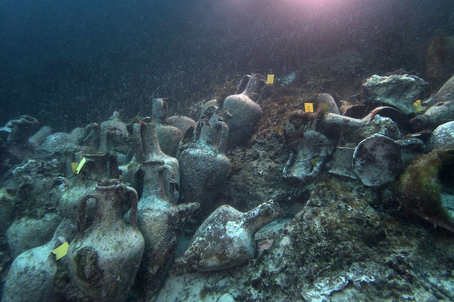 Photos: Associated Press Photos of the Week
